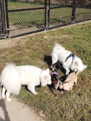 Fitchburg Dog Park
