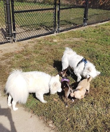 Fitchburg Dog Park
