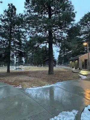 BarkMaster off-leash Dog Park