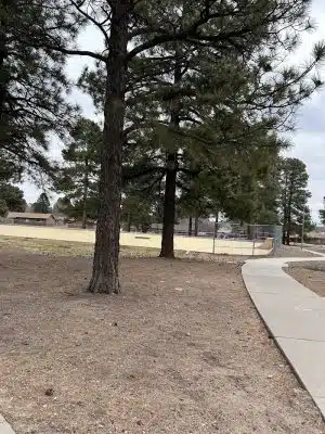 BarkMaster off-leash Dog Park