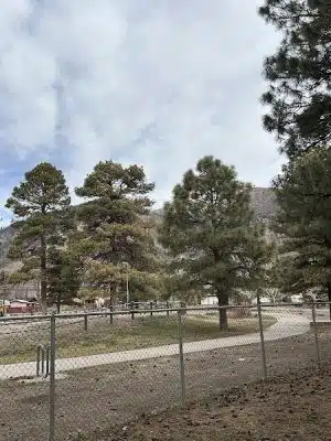 BarkMaster off-leash Dog Park