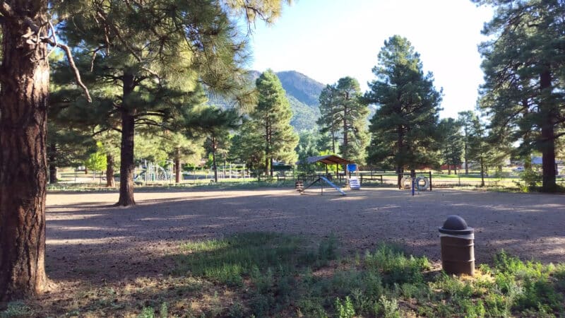 BarkMaster off-leash Dog Park - Flagstaff, AZ