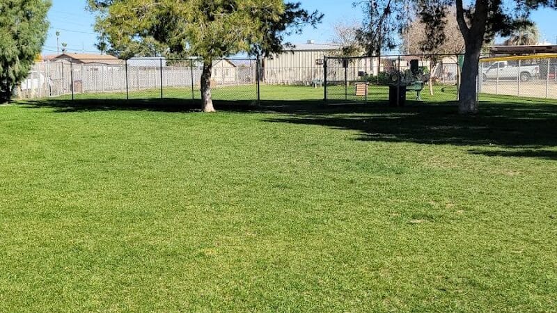 Florence Dog Park - Florence, AZ