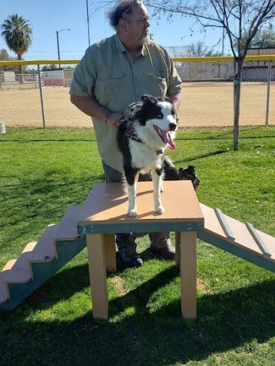 Florence Dog Park - Florence, AZ