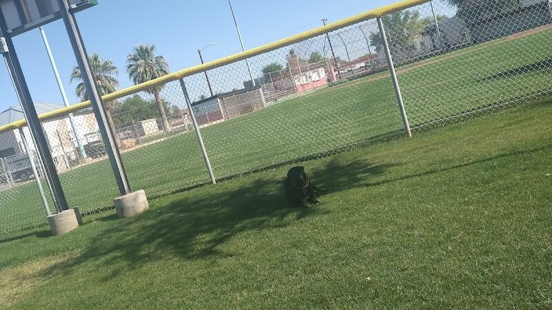 Florence Dog Park - Florence, AZ