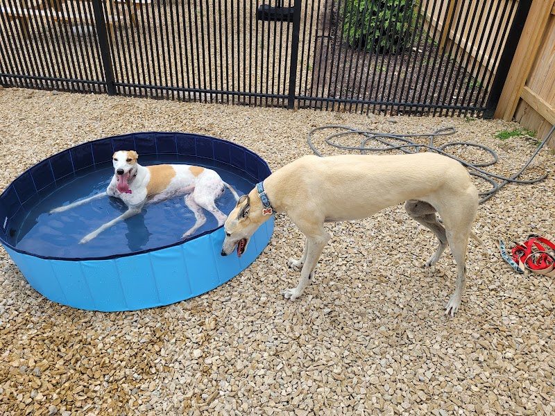 The Bark Park & Patio - Florence, KY