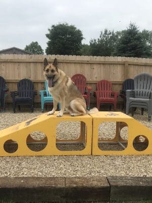 The Bark Park & Patio