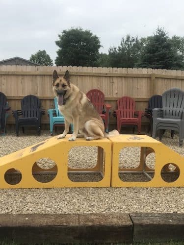 The Bark Park & Patio