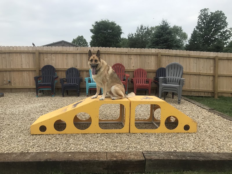 The Bark Park & Patio - Florence, KY