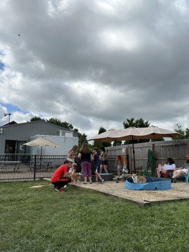 The Bark Park & Patio