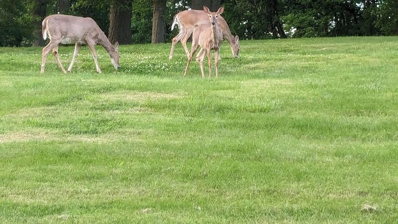 Sioux Passage Park - Florissant, MO