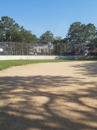 Linnaeus Park - Flushing, NY