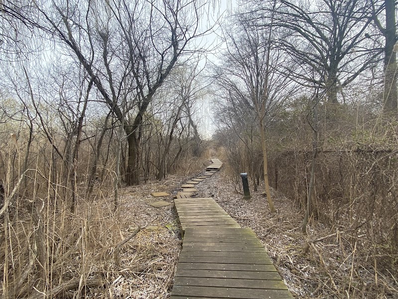 Pat Dolan Trail - Flushing, NY