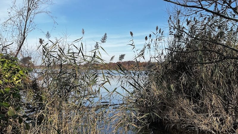 Pat Dolan Trail - Flushing, NY