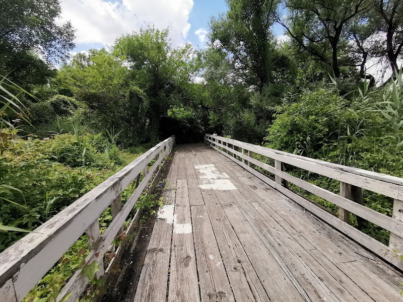 Pat Dolan Trail - Flushing, NY
