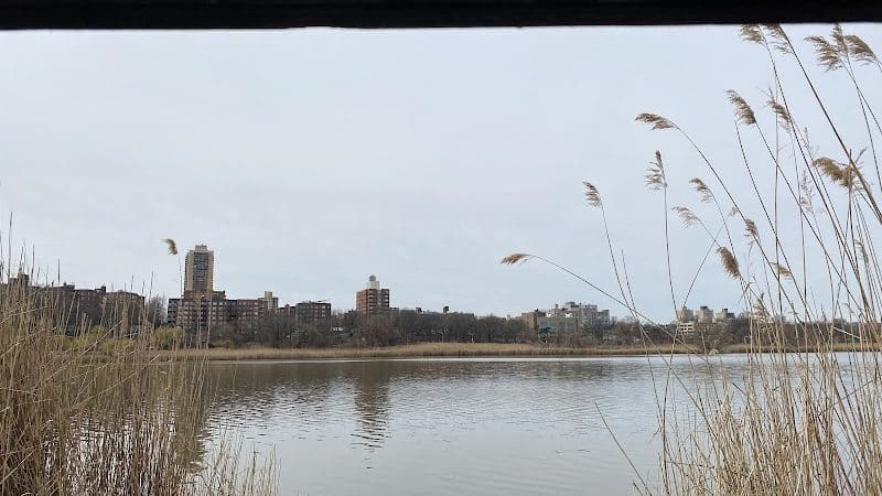 Pat Dolan Trail - Flushing, NY