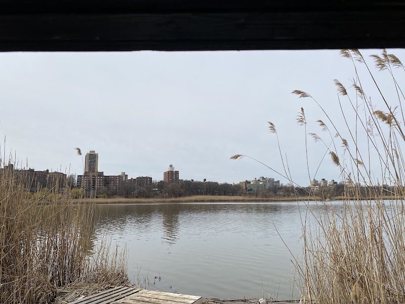 Pat Dolan Trail - Flushing, NY
