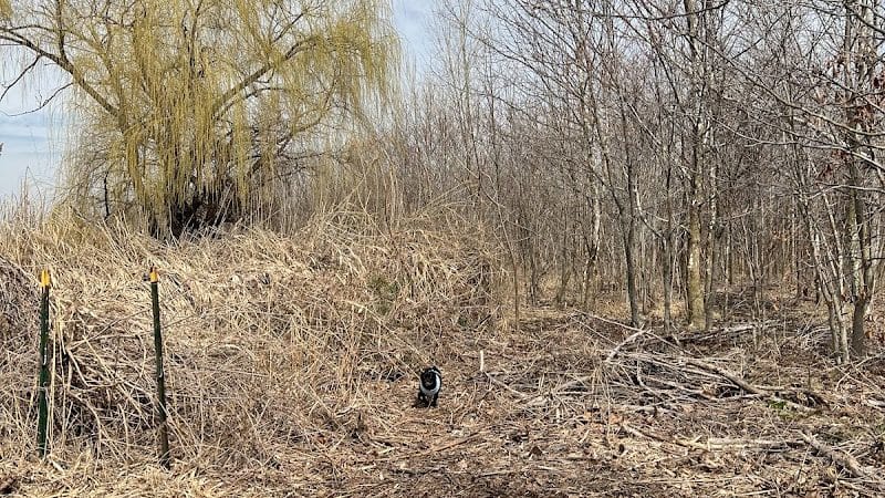 Pat Dolan Trail - Flushing, NY