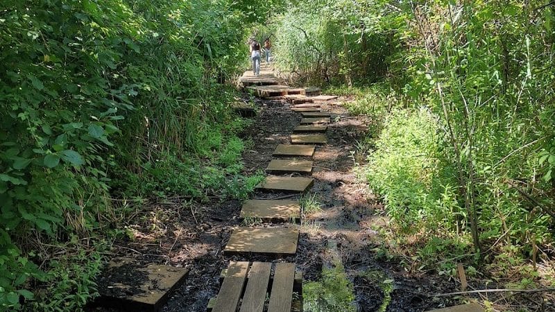 Pat Dolan Trail - Flushing, NY