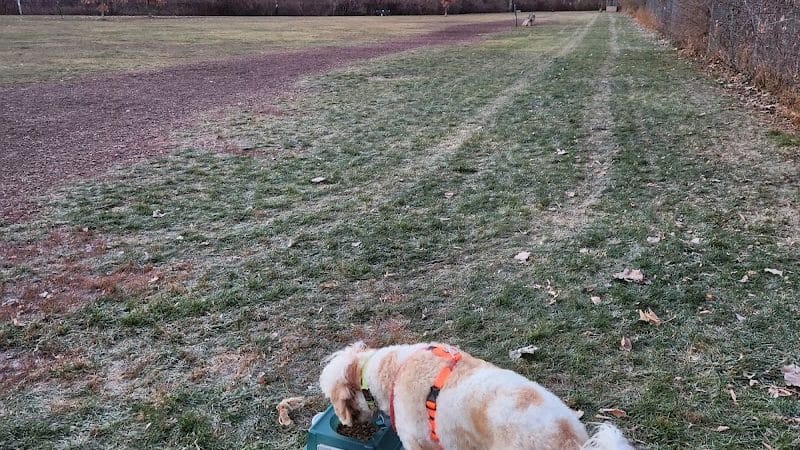 FIDO Dog Park - Fond du Lac, WI