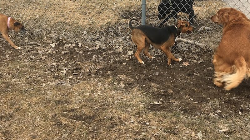 Lakeside Dog Park West - Fond du Lac, WI