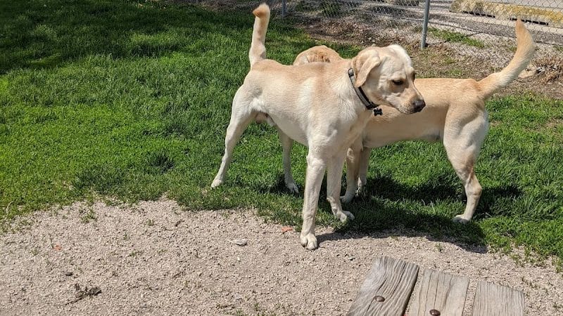 Lakeside Dog Park West - Fond du Lac, WI