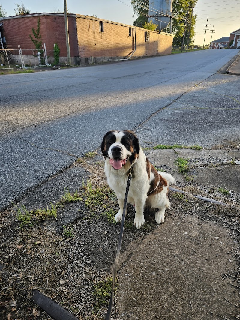 Trails to Tails Dog Park