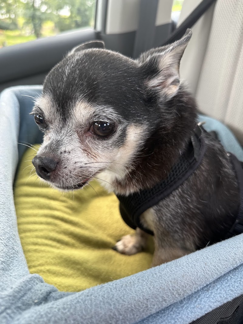 Trails to Tails Dog Park