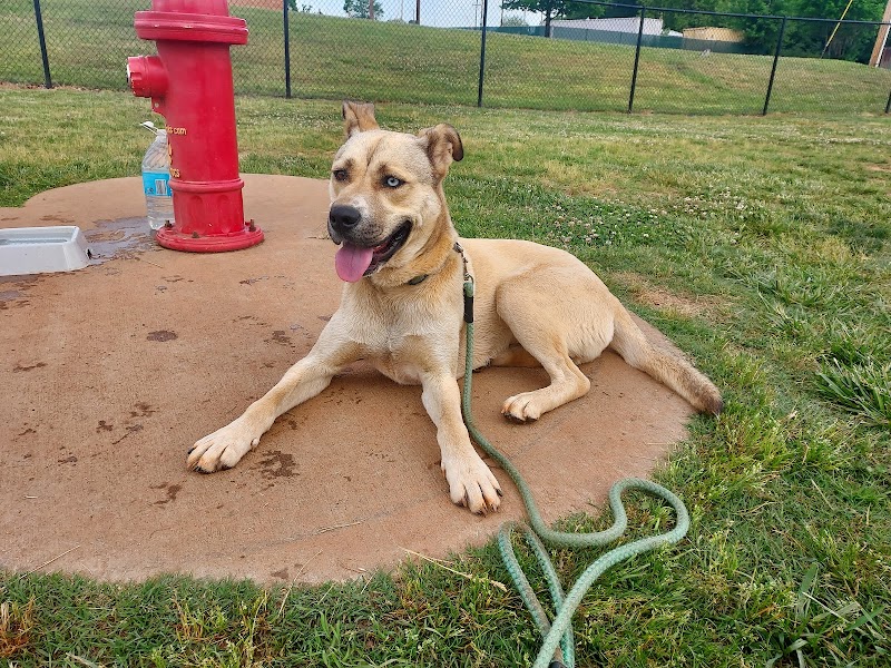 Trails to Tails Dog Park