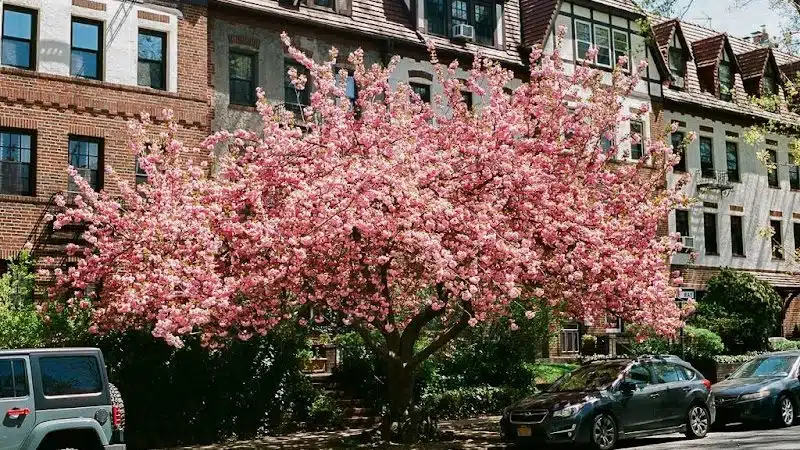 Hawthorne Park Forest Hills - Forest Hills, NY