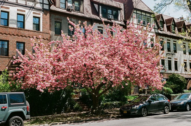 Hawthorne Park Forest Hills - Forest Hills, NY