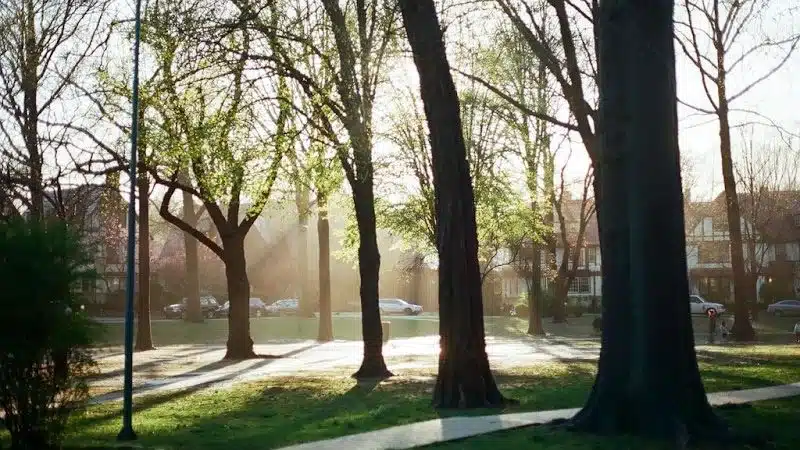 Hawthorne Park Forest Hills - Forest Hills, NY