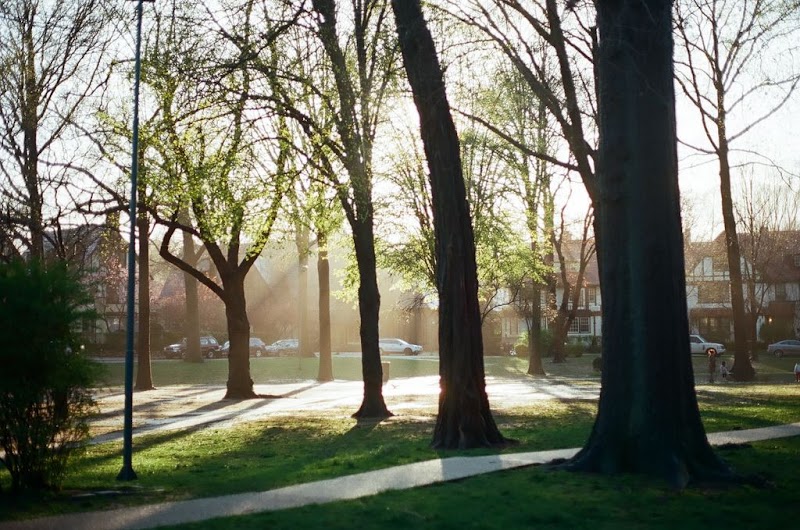 Hawthorne Park Forest Hills - Forest Hills, NY