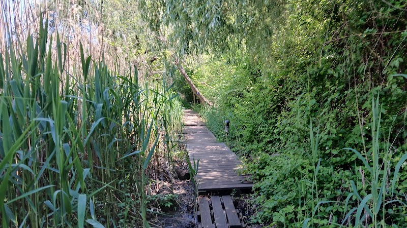 Pat Dolan Trail - Forest Hills, NY