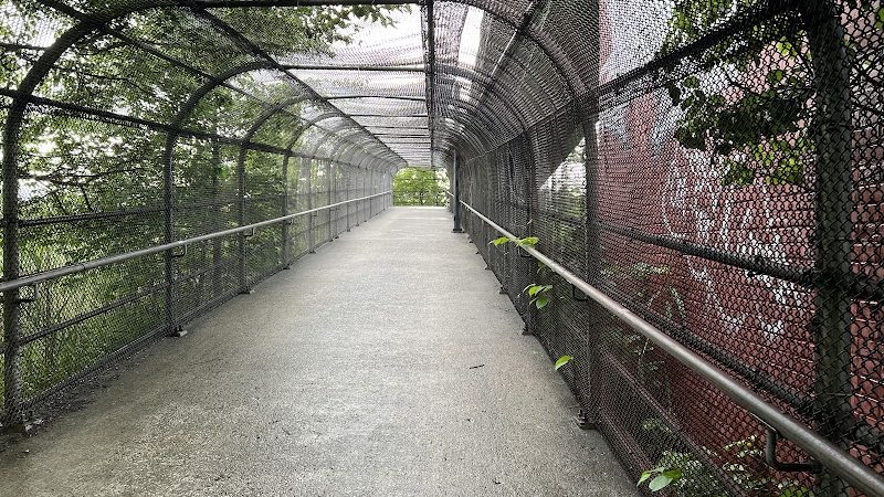 Pat Dolan Trail - Forest Hills, NY