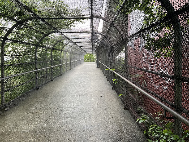 Pat Dolan Trail - Forest Hills, NY