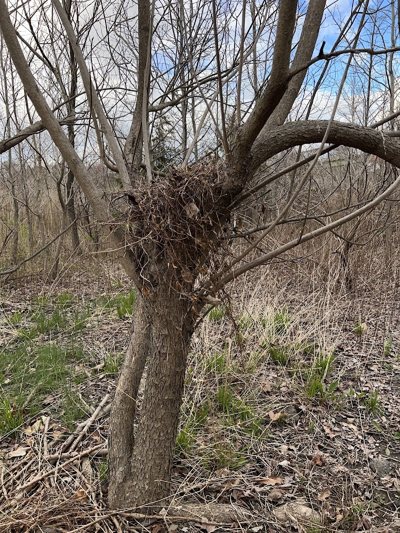 Pat Dolan Trail - Forest Hills, NY
