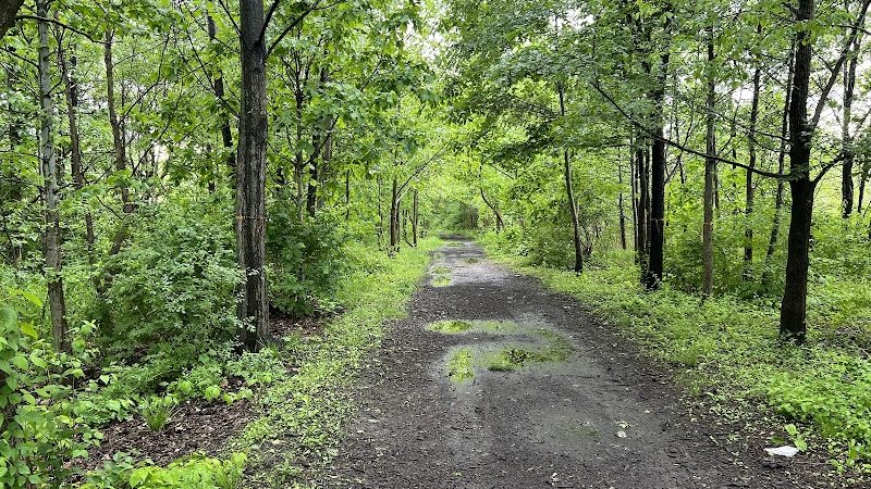 Pat Dolan Trail - Forest Hills, NY