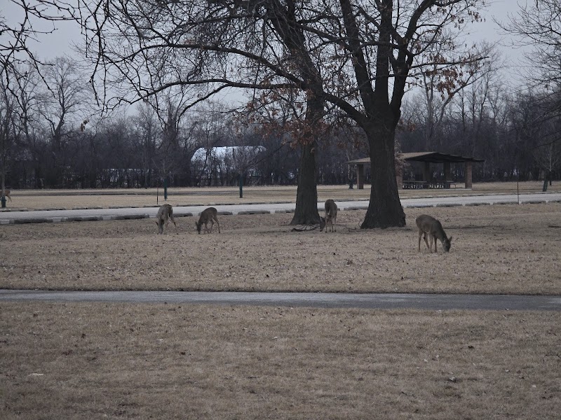 Miller Meadow Off-Leash Dog Area - Forest Park, IL