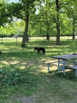 Miller Meadow Off-Leash Dog Area
