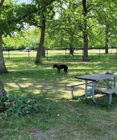 Miller Meadow Off-Leash Dog Area