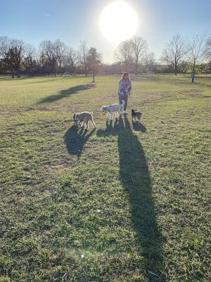 Miller Meadow Off-Leash Dog Area