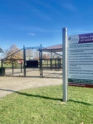 Miller Meadow Off-Leash Dog Area