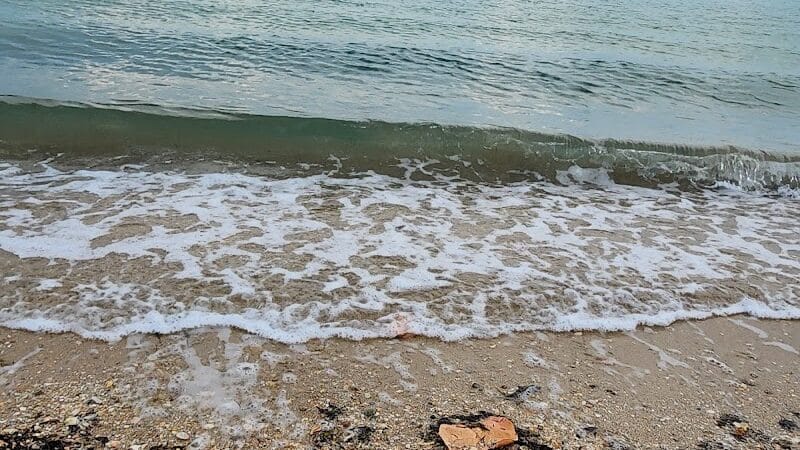 Harbour Pointe Park - Fort Pierce, FL