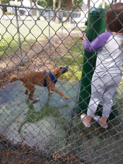 MARVILLA Dog Park - Fort Pierce, FL
