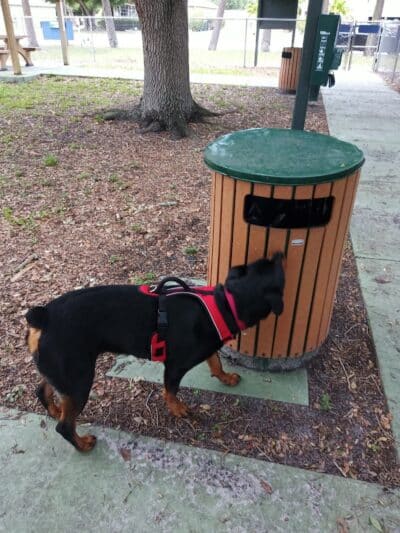 MARVILLA Dog Park - Fort Pierce, FL