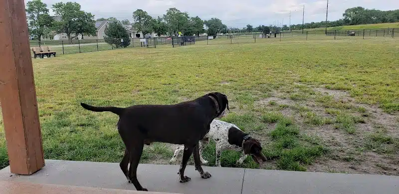 Bark Park - Fort Riley, KS
