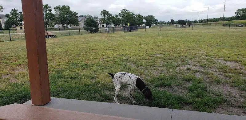 Bark Park - Fort Riley, KS