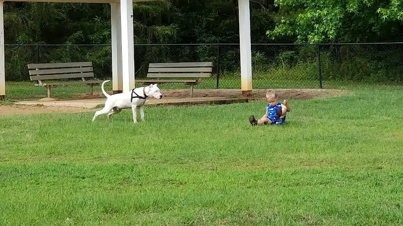 Fort Novosel Bark Park - Fort Rucker, AL