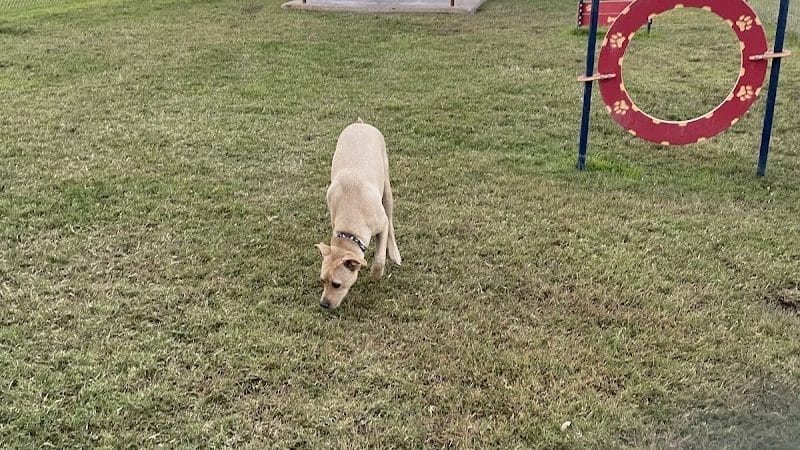 Silliman Dog Park - Fort Stockton, TX